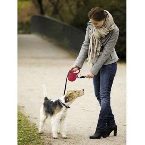 Correa Extens. Perros Flexi New Classic Cinta - Imagen 5