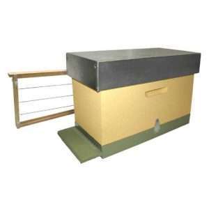 Núcleo abejas Langstroth sin Cera