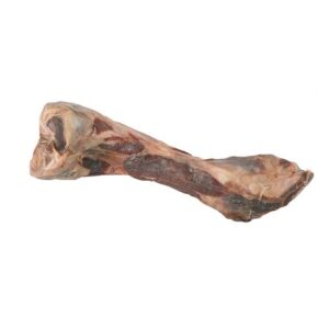 HUESO DE JAMON 24cm (1ud)